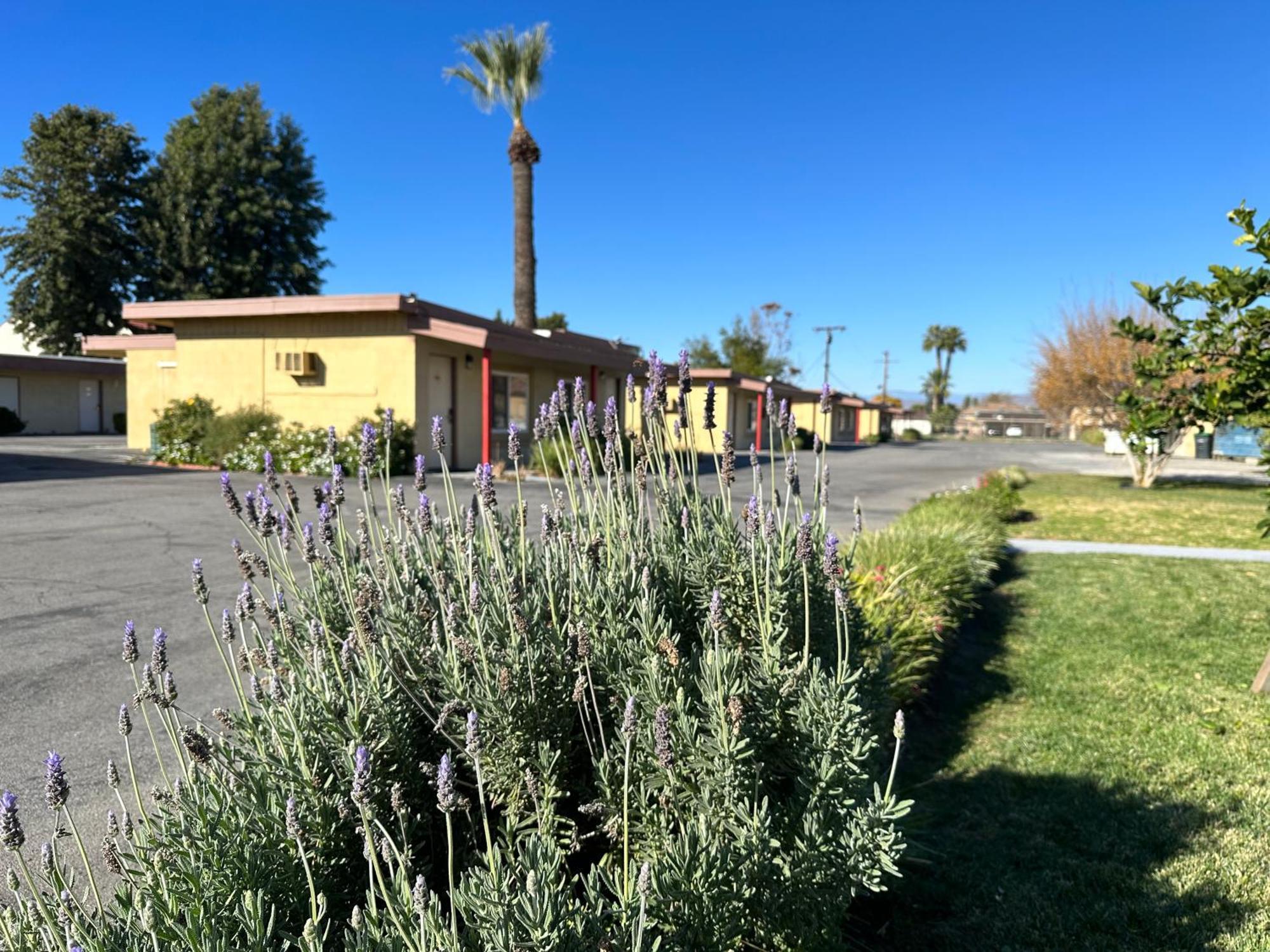 Royal Inn And Suites Hemet Luaran gambar