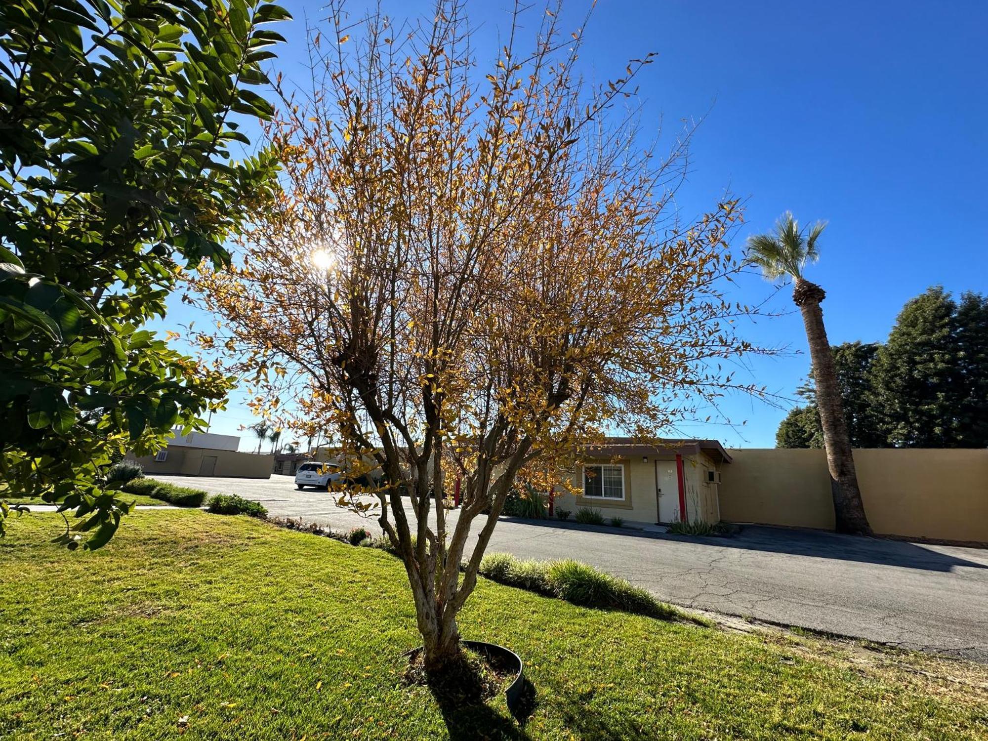Royal Inn And Suites Hemet Luaran gambar