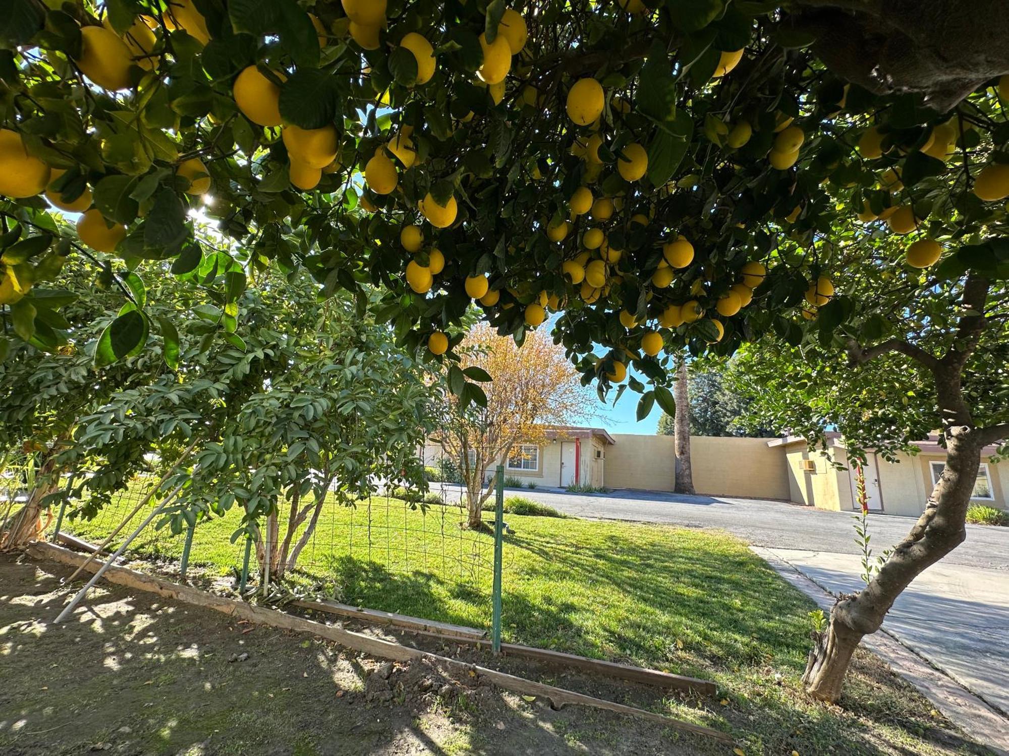 Royal Inn And Suites Hemet Luaran gambar